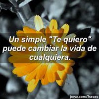 /album/an-ca%c2%b4la-yoli-nin%40s-y-familias/images-68-jpg/